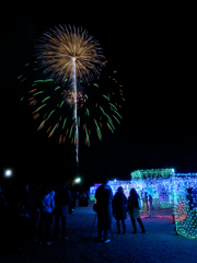 昭和記念公園W.V.I.2015_16