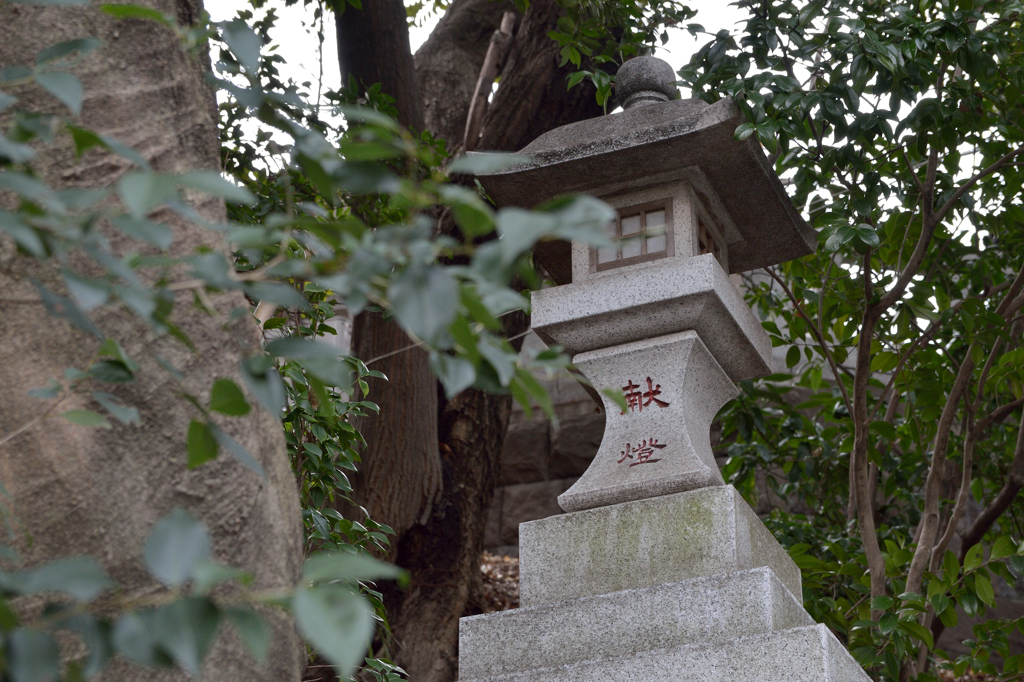 日枝神社6