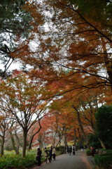 皇居東御苑_07