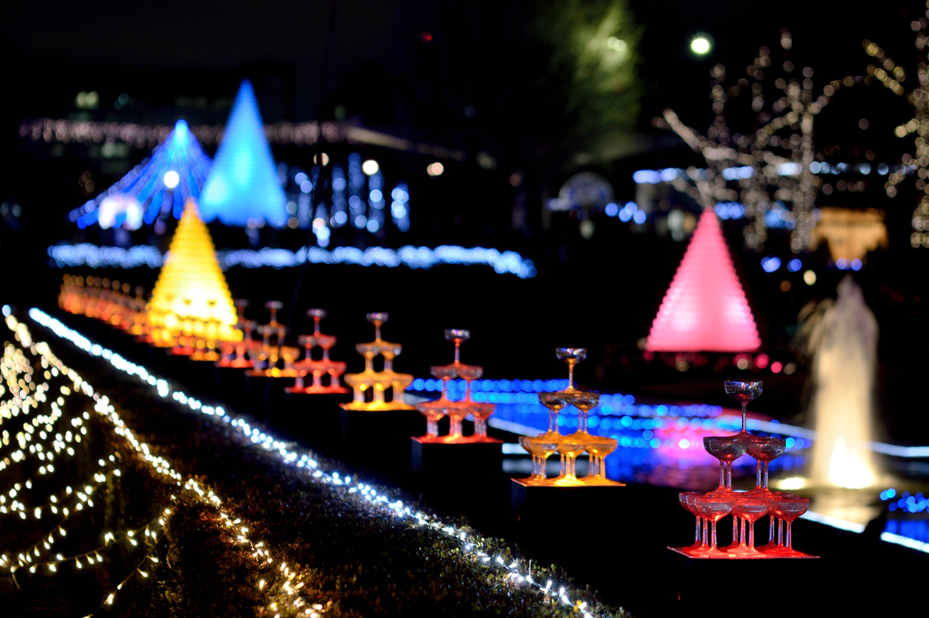 昭和記念公園W.V.I.2015_05