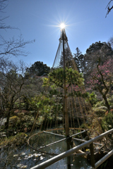 百草園_02