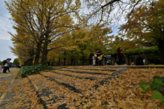 紅葉_#03