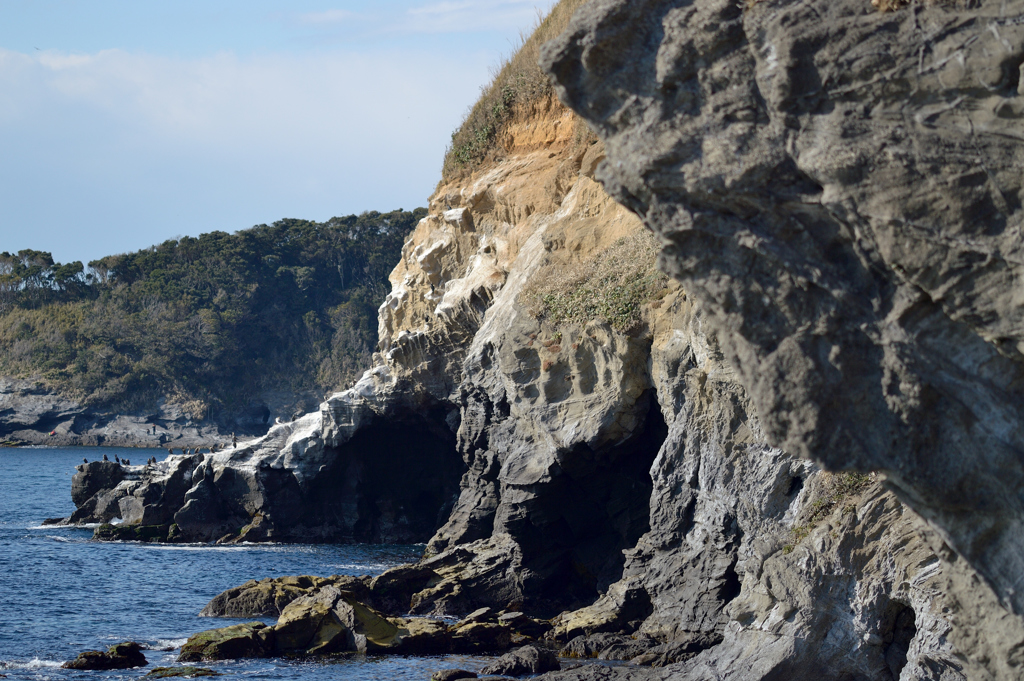 城ヶ島_07