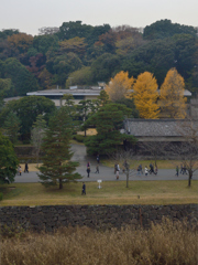 乾通り_08