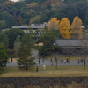 乾通り_08