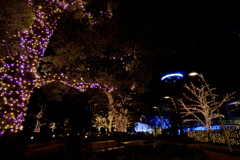 東京ミッドタウン_15