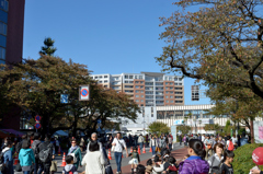 天下市_第50回_8