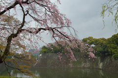 乾通り_8