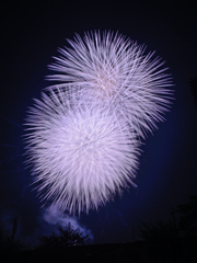 いせはら芸術花火大会_09