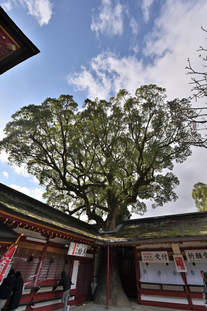太宰府天満宮_07