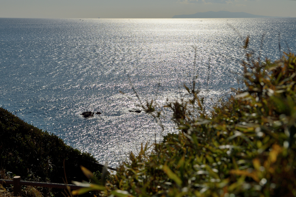 城ヶ島_03