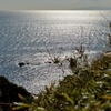 城ヶ島_03