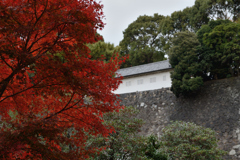 皇居乾通り_03