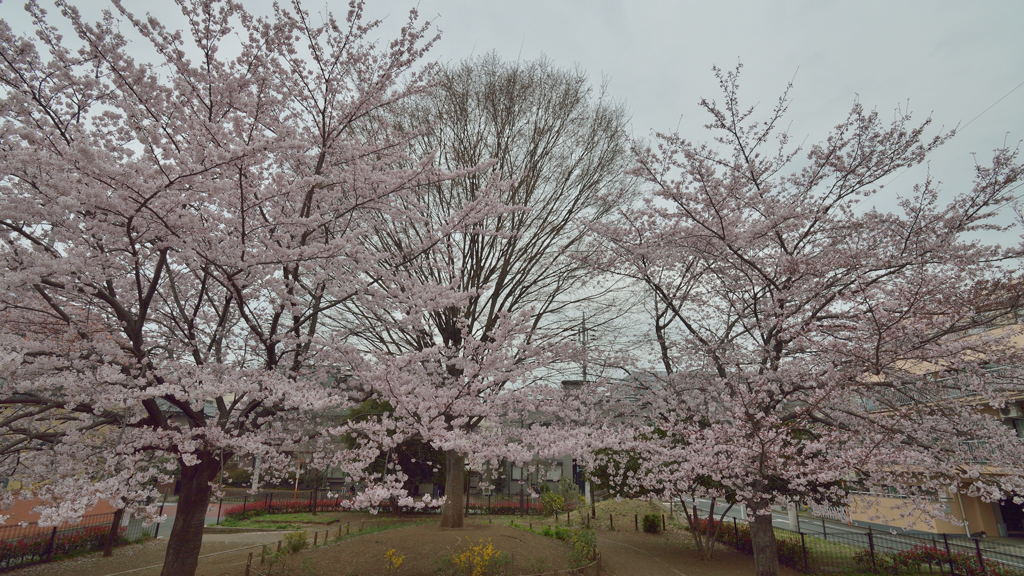 中ふれあい公園3