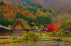 五箇山の紅葉