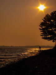 浜名湖のとある日の夕方