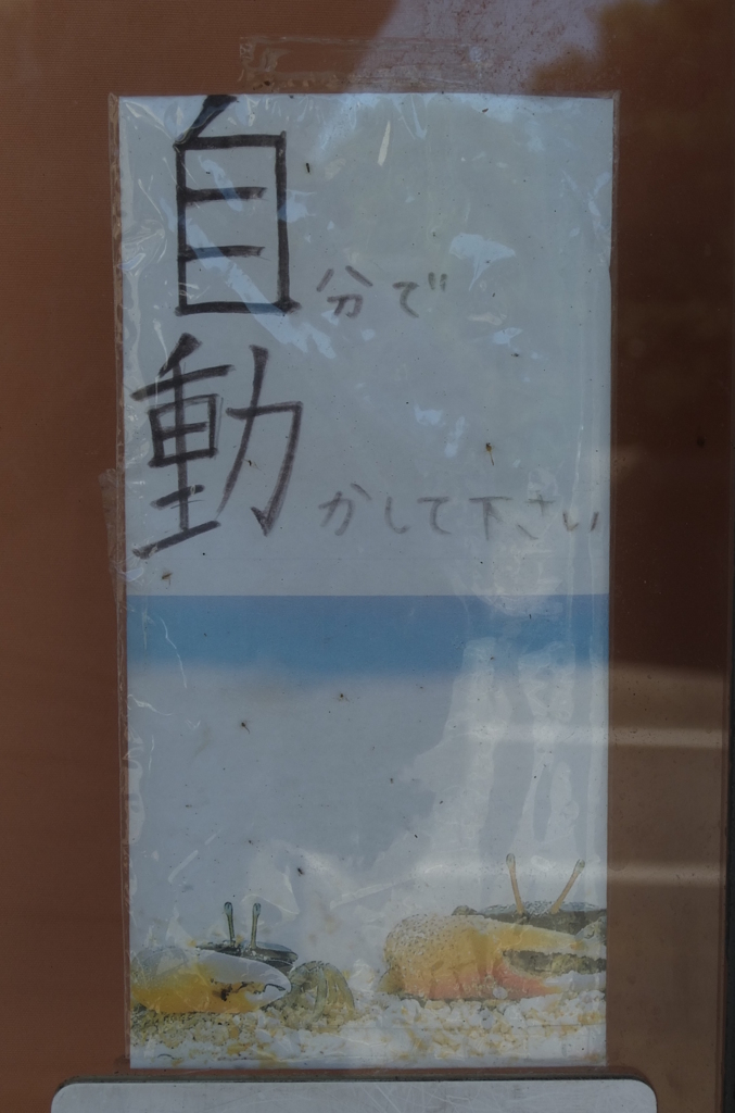 自動？