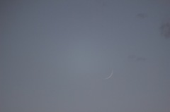 お久しぶり。お月様。 