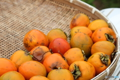 ご近所さんからの御裾分け