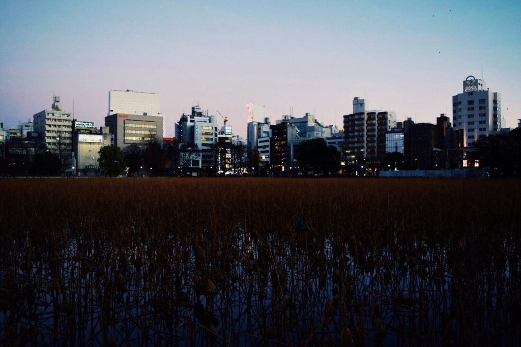 夜の帳が下りる