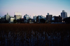 夜の帳が下りる