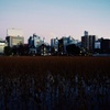 夜の帳が下りる