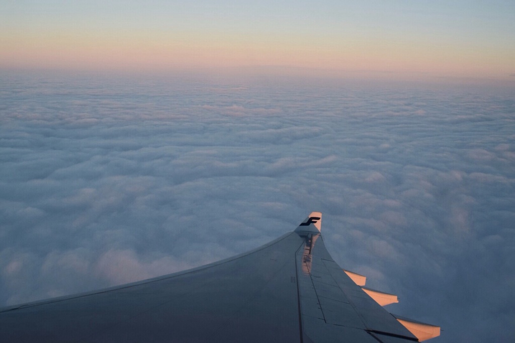 果てしない大空に