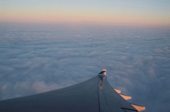 果てしない大空に