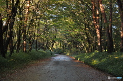 道