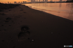 海岸と足跡