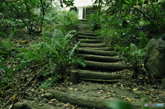 道