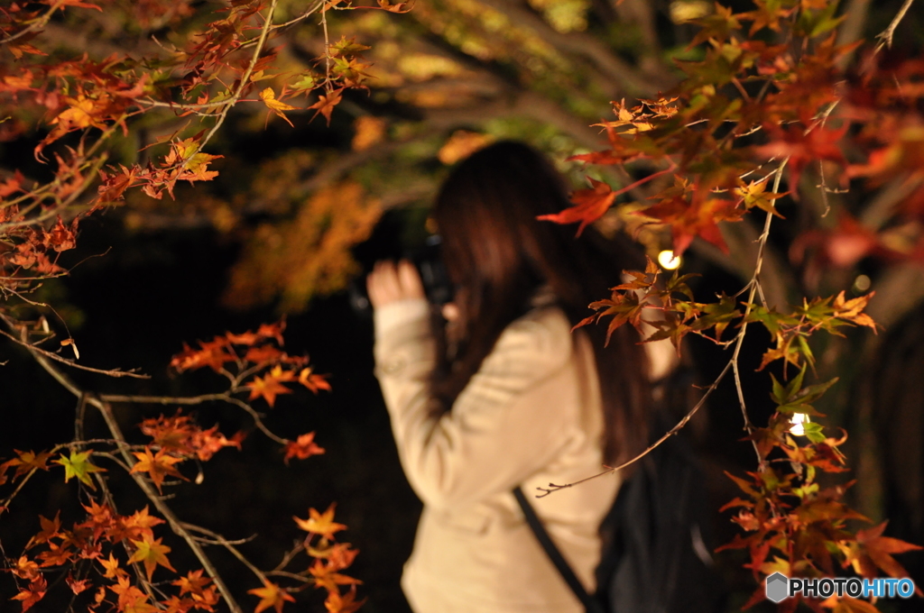 紅葉の奥に