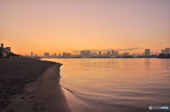 海岸