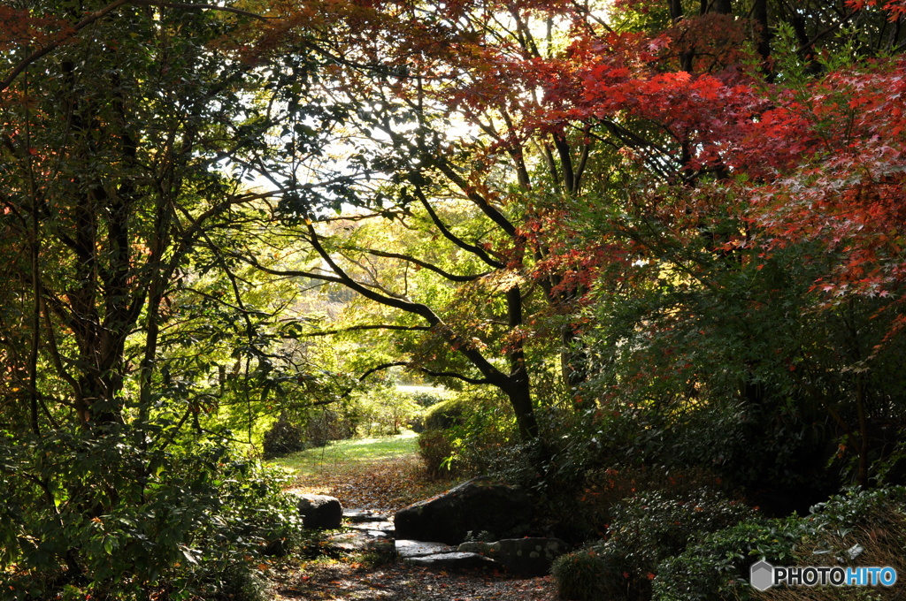 自然の公園