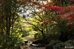 自然の公園
