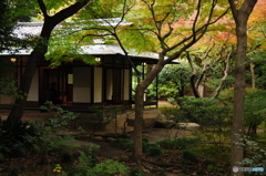 茶室