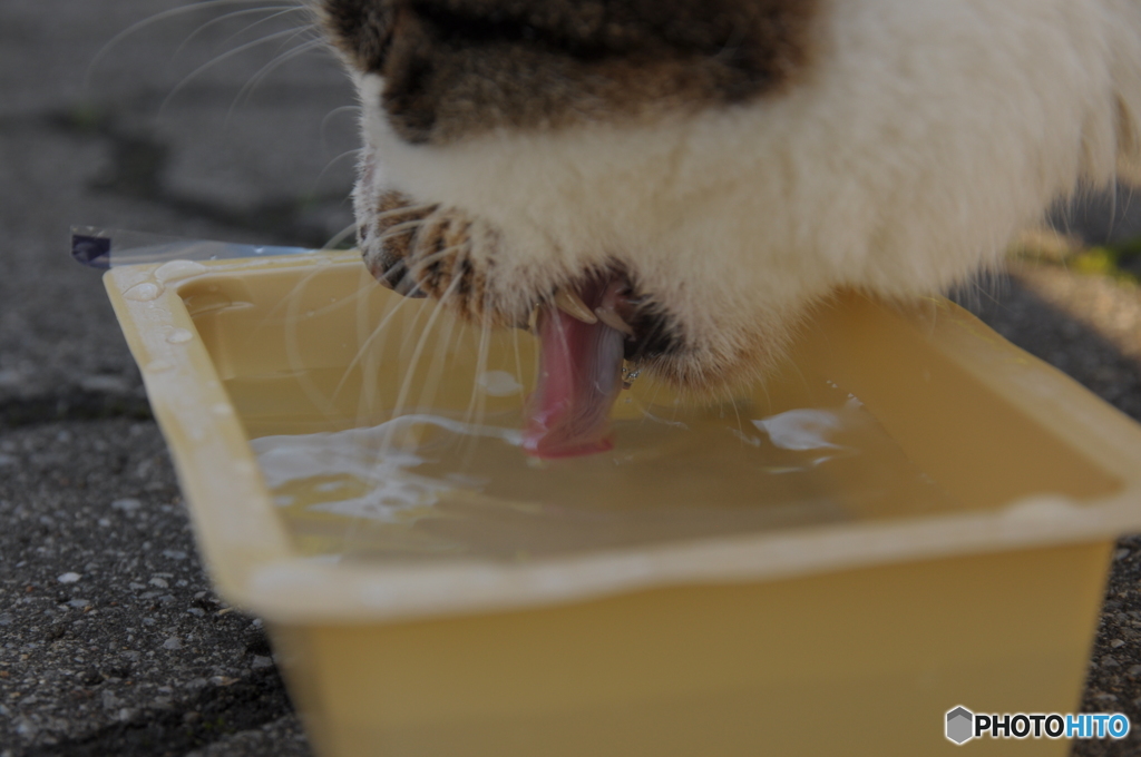 食後の水分補給