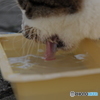 食後の水分補給