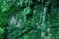 龍の滝