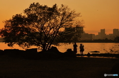 夕焼け空とシルエット