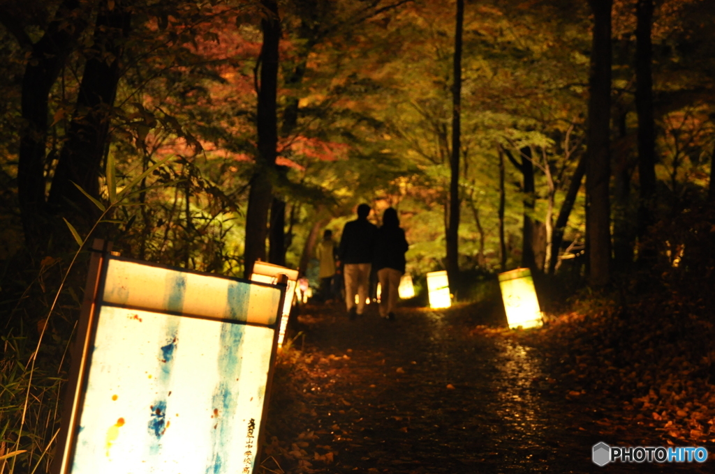 紅葉の道を歩く夫婦
