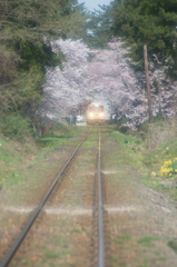 トンネル抜けて