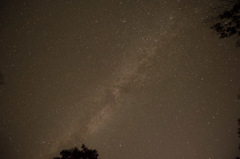 星降る夜に