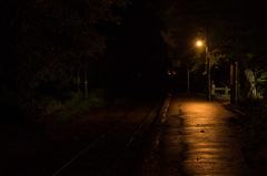 DSC_4729