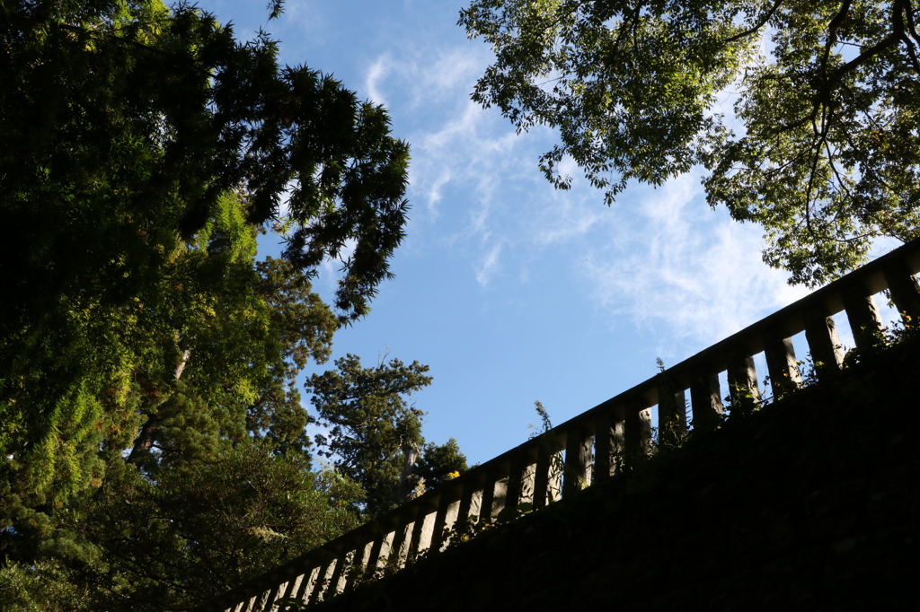 塩竈神社5