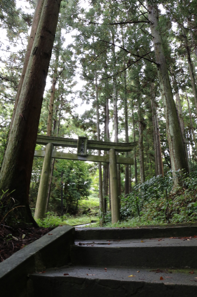 林の中の参道