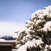 週末は雪