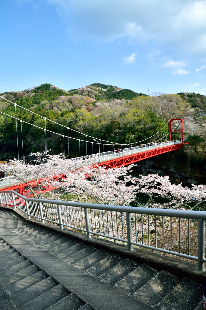 笠岩橋と桜 -2nd-