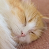 夢の中３