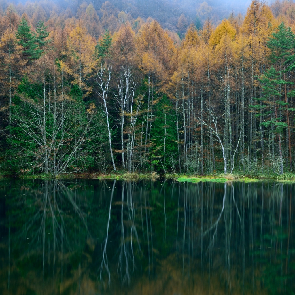 Mishaka pond in autumn